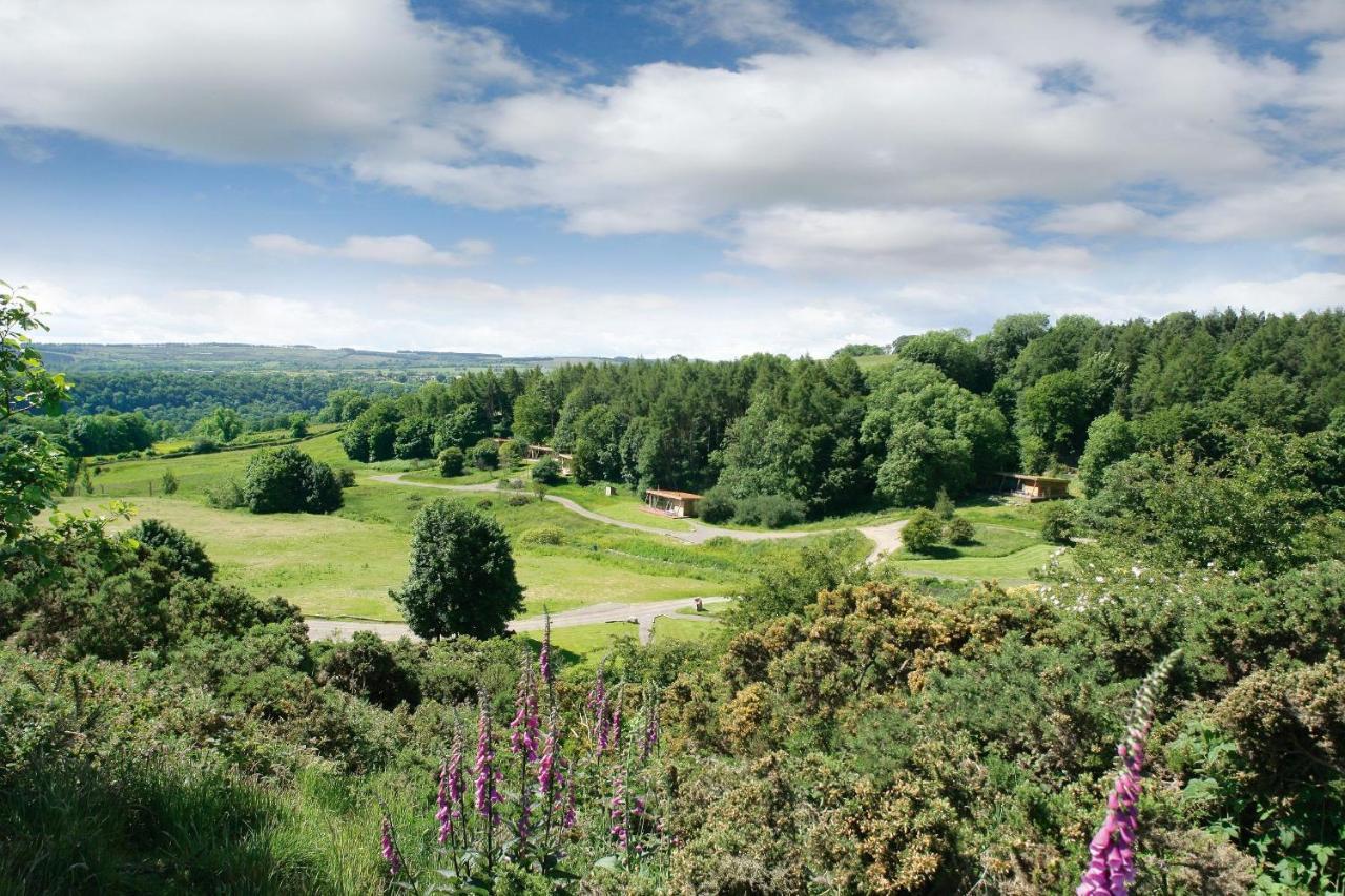 Yorkshire Dales Lodge 3 Family 3 Bed Richmond  Ngoại thất bức ảnh