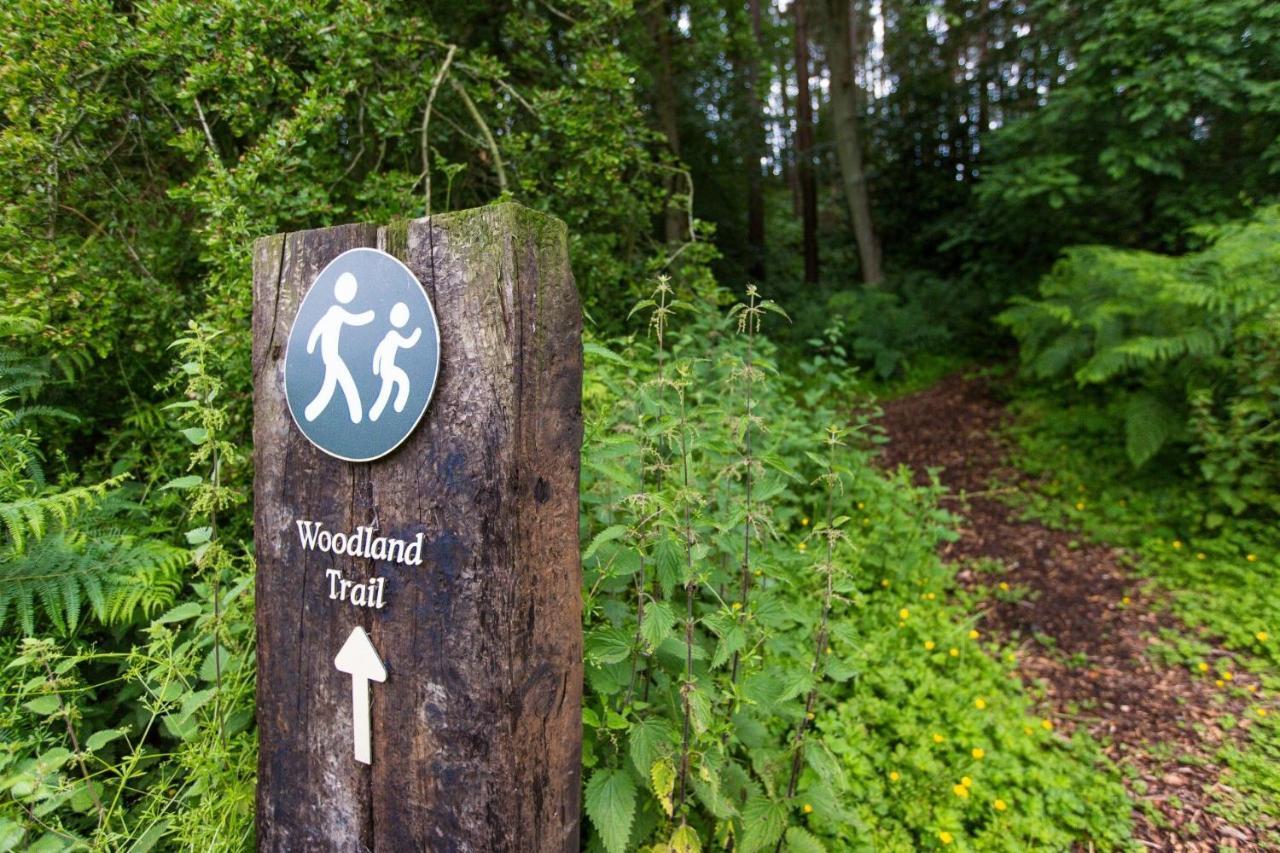 Yorkshire Dales Lodge 3 Family 3 Bed Richmond  Ngoại thất bức ảnh